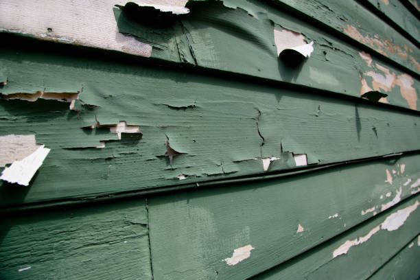 Best Dumpster Rental Services  in Wilton, CA